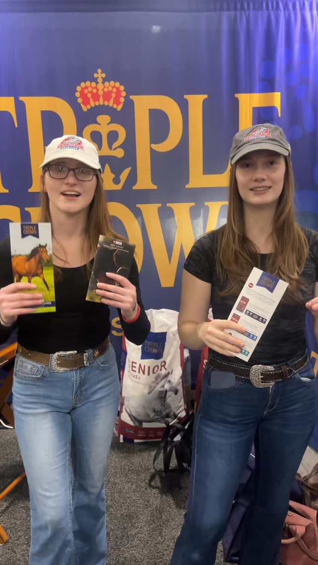 Our fav feed!!! #equestrian #eventing #usef #equestrianlifestyle