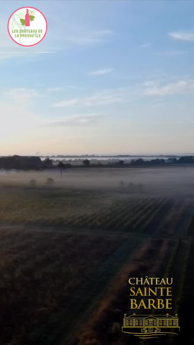 Sauvez la date...le samedi 28 et dimanche 29 mars...découvrez le château Sainte Barbe et ses vins... (joliment mis en vidéo par Oursicate.com)...en plus de la traditionnelle visite dégustation, des initiations au golf avec Arnaud Maurin (33golflab.com) et disque golf sont prévues...
#journéesportesouvertes #golf #disquegolf