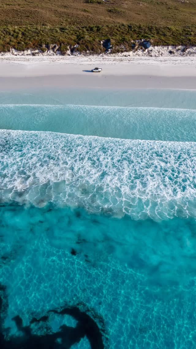 __Repeat customers. West coast edition 🌊🦘
📍Lucky Bay, WA
#luckybay
#westernaustralia
#toyotahilux
#exploremore
#fyp