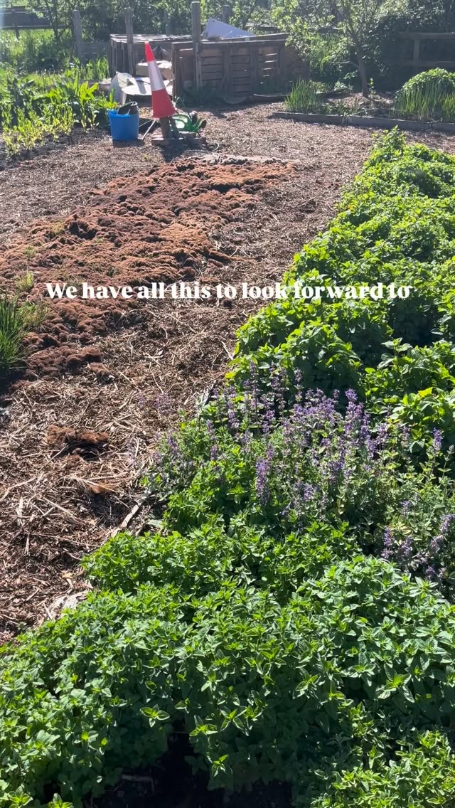 Spring might just be here!
Loads to do and lots to come! The challenges and pleasure of growing all the flowers on the farm!