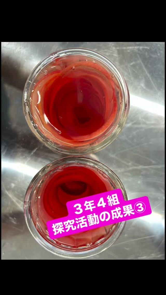 🍎 りんごゼリー 🍎
りんごとかんてんぱぱさんのカップゼリーで作れるりんごゼリーをご紹介✨
私たち3年4組発信チームでは、地元の農家さんが作られた作物と伊那食品工業さんの商品をコラボさせて料理を作るという活動を1年間行ってきました。
今回は、いなファーム632さんのりんごとかんてんぱぱさんの商品、カップゼリーを使わせていただき、りんごゼリーを作りました😊
あまく美味しいゼリーをぜひ皆さんも作ってみてください✨
農家さんへのインタビューなどはかんてんぱぱガーデンにて掲示をしていただいていますのでぜひご覧ください🍀*゜
#伊那西高校
#高校生の探究
#探究活動
#探究学習
#地域とつながる学び