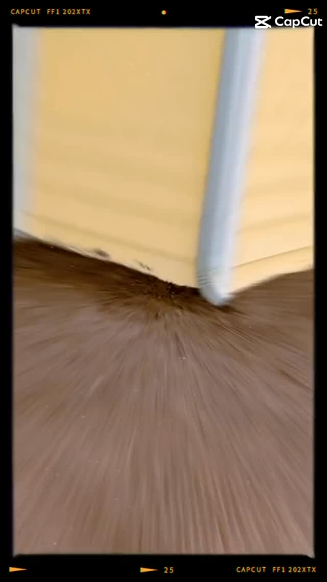 How do you do dirt? Love what you do 💪🏼🙏🏼
#construction #earthwork #skidsteer #contractor #gradingdirt