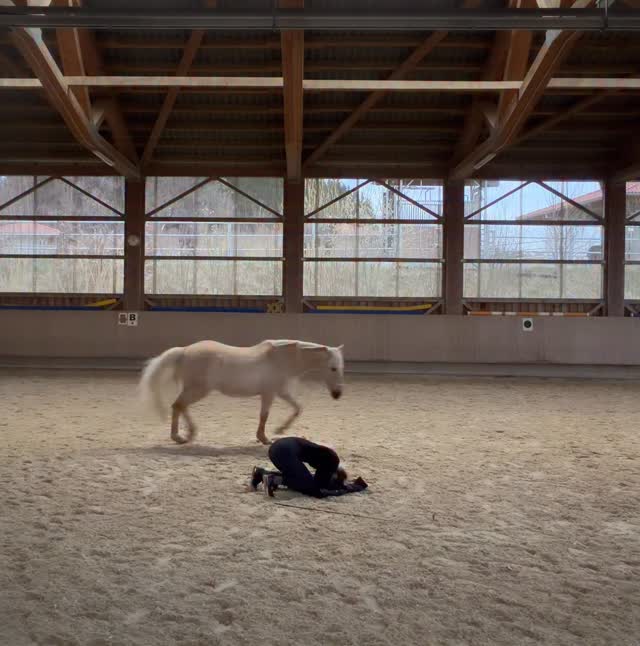 Alles ist Energie 🤍
•
Wenn wir miteinander verbunden sind und Energie in eine gemeinsame Richtung fließt, können wir von der Norm ganz einfach abweichen. Ich habe heute das erste Mal die Inspiration von @quatrocavalos ausprobiert, einen Kopfstand zu machen während Sui um mich herum zirkelt. Challenge dabei mal wieder einen freistehenden Kopfstand zu machen denn ich drei gerne wusste genau was dein Job ist und hat die Aufgabe mit Bravour gemeistert. Das macht für mich persönlich eine gute Kommunikation und Beziehung zu deinem aus. Wenn die Basis stimmt, können wir so viele schöne Sachen gemeinsam kreieren und leicht aussehen lassen.
•
Welche Challenge sollen wir als Nächstes ausprobieren?😍😍