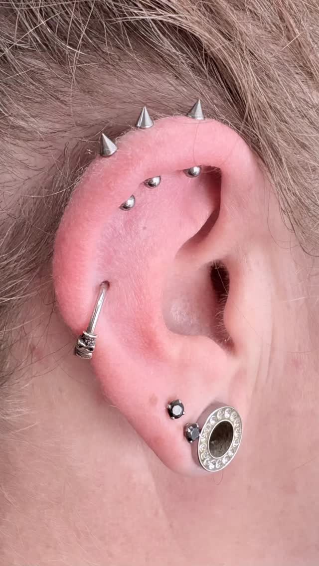 There are so many different ear piercings that Andrea / @inked.andreack can do. What’s your favorite?
TERMINE:
📥 Instagram DMs
📱 +49 0511 4885681
✉️ info@hautdesign-tattoo.de
-
🗣️Kostenlose Beratung
#HautdesignTattoo ist Mitglied des @dot_e.v
#hannover #langenhagen #piercerin #piercing