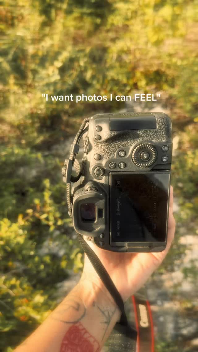 Cozumel photographer capturing your best moments in a more unique way. Not every session needs to be the beach. Only one a year these yellow flowers bloom.
#CozumelPhotographer #CozumelPhotos #MexicoPhotoshoot #cozumelphotography #cozumel