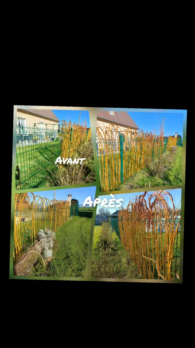 Arrangement au #naturel du jardin @rebeccalesjoliesfleurs
#osier
#cloture