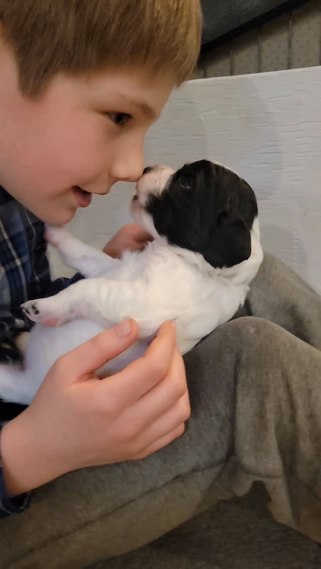 #puppy #kid #love