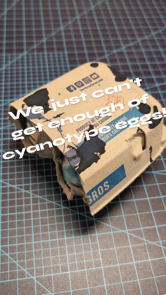 We just can't get enough of cyanotype at inPrint!
Join us for our first session of the year, just in time to summon the spring! We will experiment with paper eggs and also do a couple of traditional cyanotypes along the way. No experience necessary, just a desire to try something new and play around!
Happening on Sunday, March 29 from 10am to 2pm and taught by inPrint member Amye St John. Registration is $75, with the workshop happening at our studio in Toronto. More info and registration at www.inprintcollective.com/join-a-workshop (or link in bio).
ID: A video shows a hand showing off various types of cyanotype. The first few seconds shows experiments done with real eggs, then experiments on paper eggs. The clip ends with some samples of cyanotypes on paper and a note about our Cyanotype Paper Egg workshop coming up.