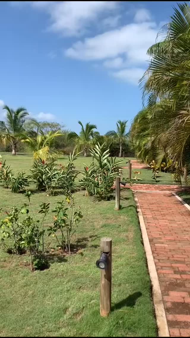 Escápate de tu rutina, es hora!