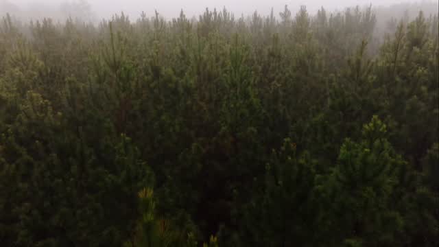 Traditional elements layered with intention.
Brick, lantern light, handcrafted doors, louvered shutters, transom windows — details designed to feel timeless from day one.
Another home complete. 🏡