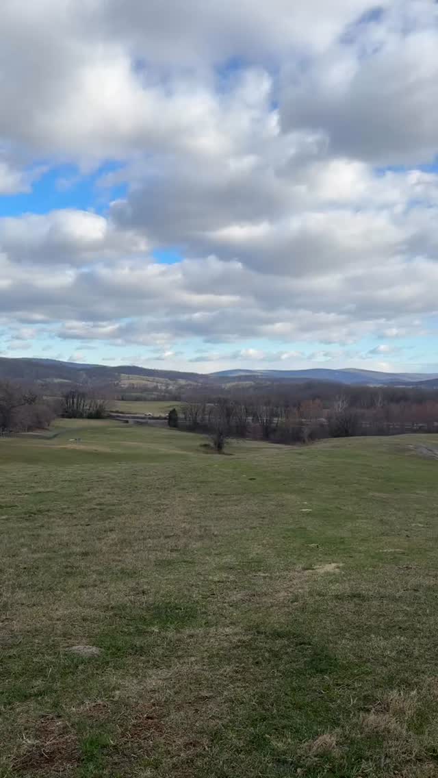 The grass is suddenly an explosion of green. Happy to have a little color back โ๏ธ ๐พ