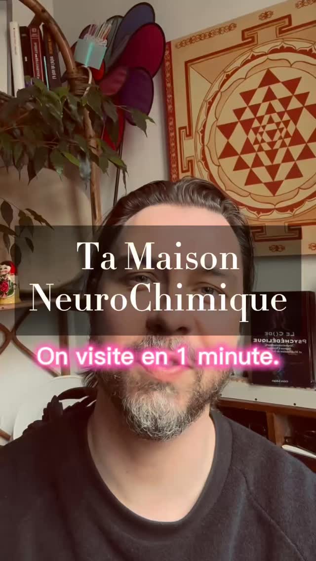Visite guidée de la maison neurochimique ! Pour apprendre à activer ça sur commande, tu peux venir m’en parler directement. #hypnose #autohypnose #conscience #neuro