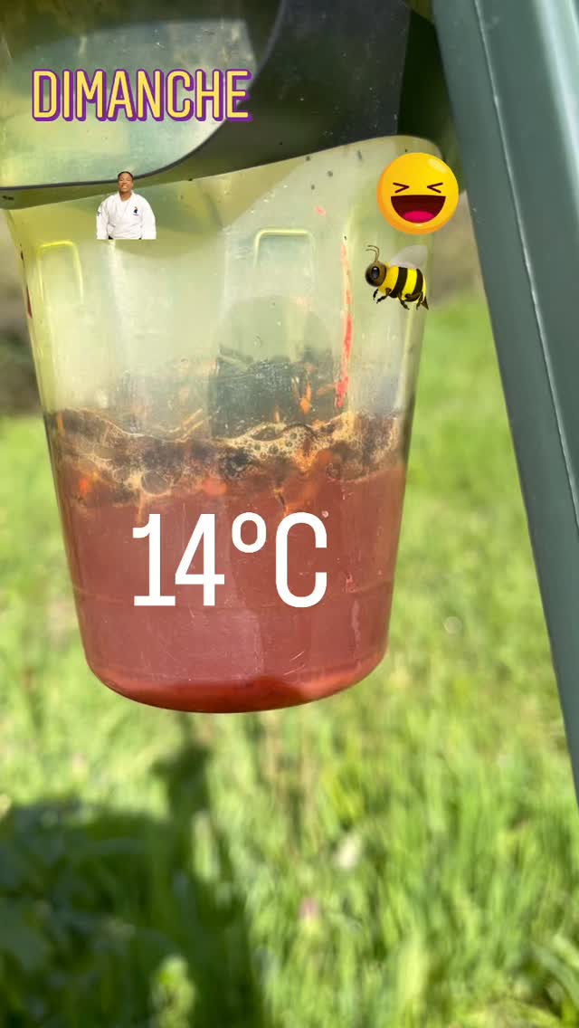 Tout le monde parle d’écologie…
mais qui agit vraiment ?✨👊
Protégeons l’océan, la nature et la biodiversité toute l’année. 🌍
Aujourd’hui, on vous propose un geste simple :
👉 installer des pièges à frelons pour protéger les abeilles.🐝
Parce que protéger la planète,
ce n’est pas seulement un vote…
c’est des actions concrètes.😉🤙🔥
On compte sur vous 🥰❤️🐝🐝🐝
🐝🥋✨dojosaintmartinois-judoclubcotebascolandais -Shiaiclubcapbretonangresse-des dojos engagées pour une vraie protection éco-durable.
#dojostmartinois #judoclubcotebascolandais #agirpourlaplanete #shiaiclubcapbretonangresse écologiesbiodiversité#abeilles🐝