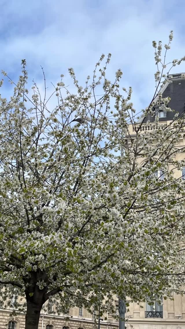 prendre le temps, se connecter à la nature, retrouver des sœurs, d'âme et des amies pour partager, échanger, se ressourcer…
Voilà ce que j'ai fait le week-end dernier avec mon amie et soeur d'âme @bodhi.shola
gratitude à la vie pour tous ces moments merveilleux qui nous remplissent d'amour partagé.