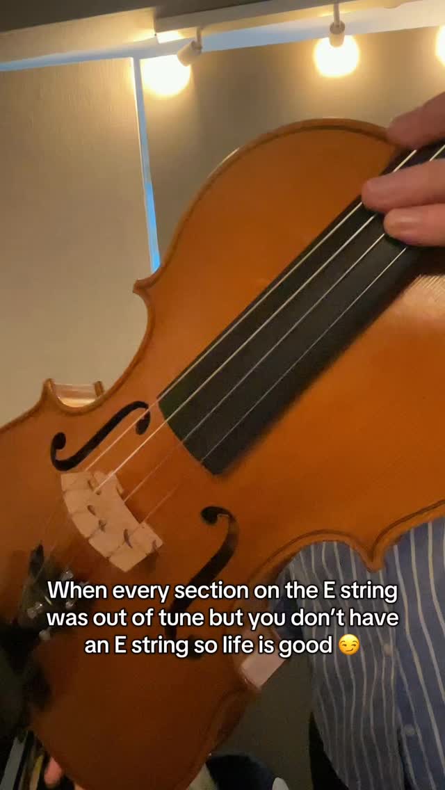 Sometimes I wish I played the viola 🙄 #music #musician #violin #viola #humor