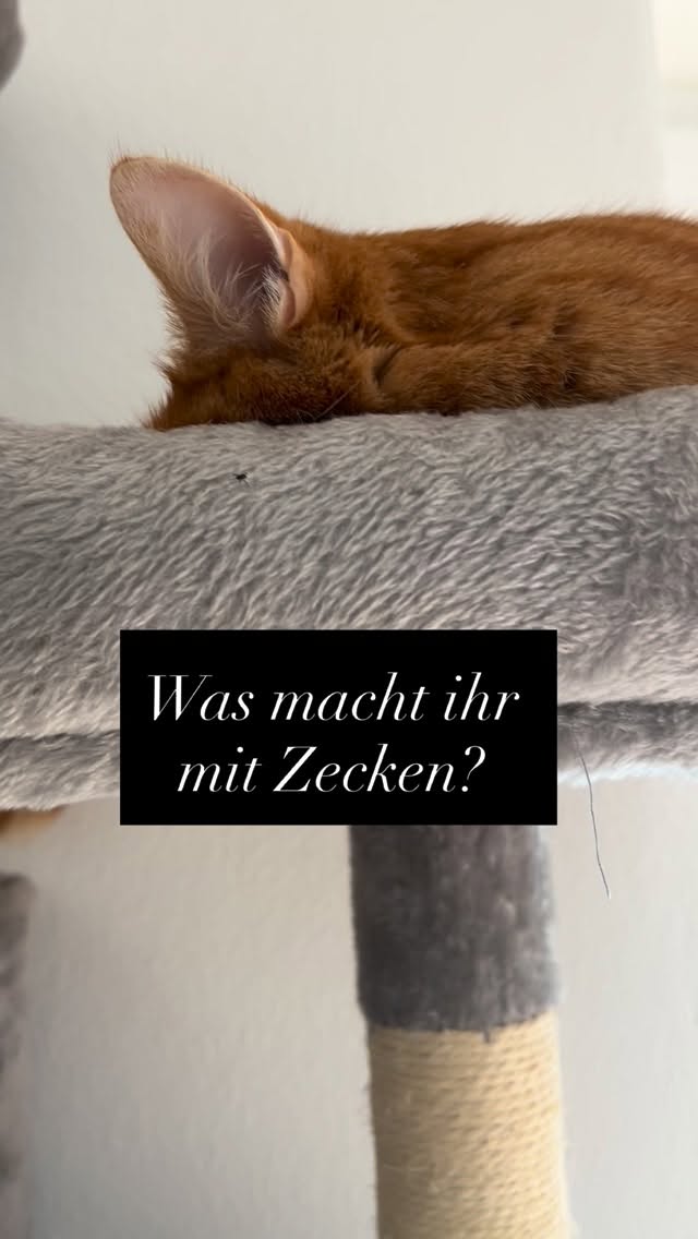 Ich klebe sie immer in ein Klebeband.