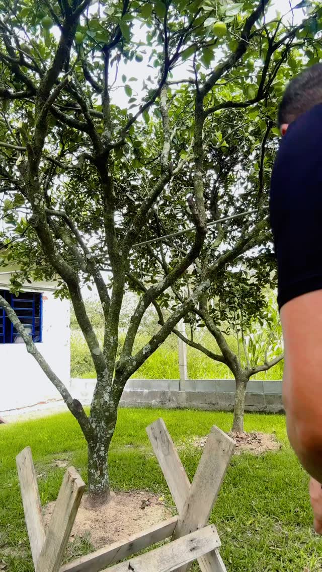 📍DA PITACO AÍ NO MEU TRABALHO…
Ué, não gosta de dar pitaco no meu trabalho, do que devo fazer, como devo fazer e qual a melhor solução?
👉Então, me dá as coordenadas aí no meu outro trabalho, assim EU TAMBÉM APRENDO AQUI 😳😬
EU SOU RAIZ 👊👊
#vidanocampo #nalida #EuSouRaiz