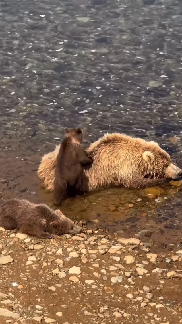 Tune-in Tuesday. This is your ‘moment to pause’, take a deep breath and come back to the present moment. Remember you have everything within you to handle whatever comes your way. Video thanks to @_mikeywright_ #momenttopause #mindfulness #meditation #breathe #inspiration