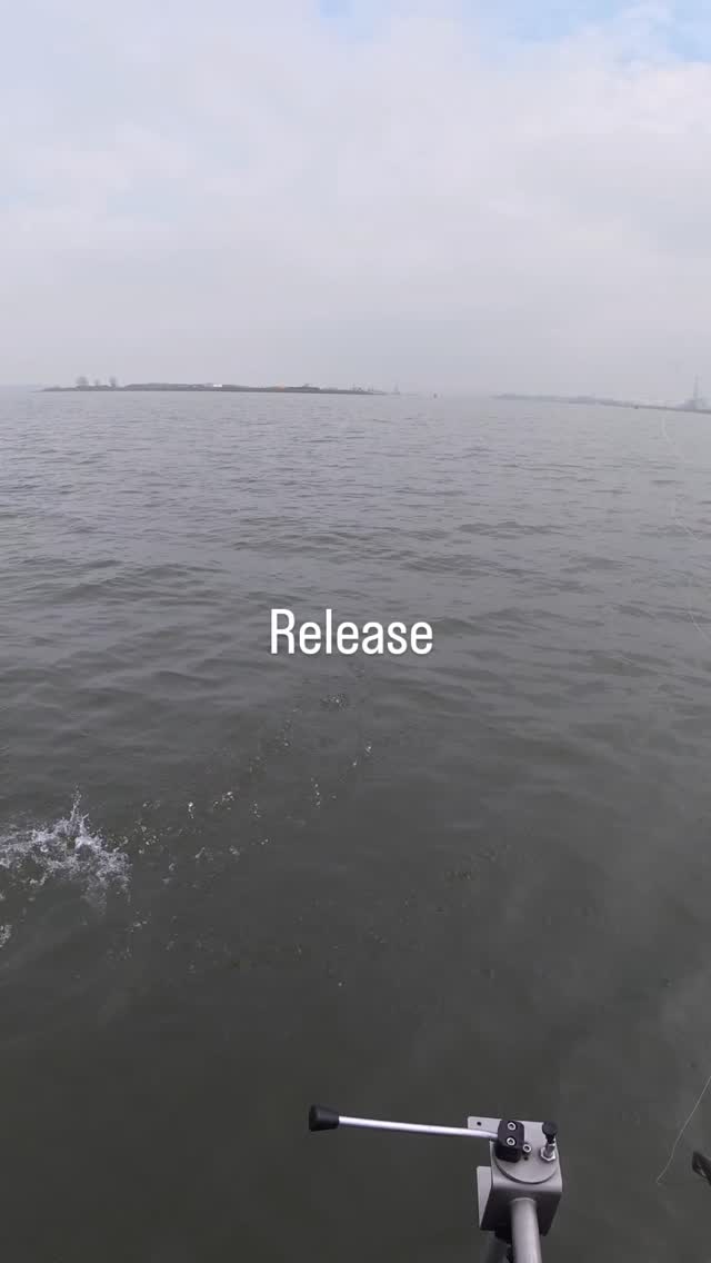 #yamahaprofishing #batterylabs #stcroixrods #delalandepeche #delalandenl