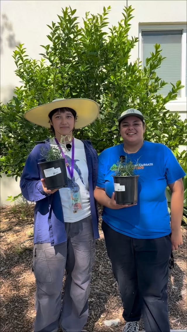 Not all milkweed is created equal!
Native milkweed supports healthy monarch migration, while tropical milkweed can disrupt it by encouraging monarchs to stay too long and increasing disease risk. 🦋
If you want to learn more, join us for Monarch Madness! We’ll have free native plants & seeds (including milkweed), native plant-based tea, crafts, monarch education, free raffles, and more!
📅 March 21, 2026
⏰ 12:00 PM – 2:00 PM
📍 Julian Fisher Park Basketball Courts
915 California Ave, Monrovia, CA 91016
🏀 RSVP in bio!