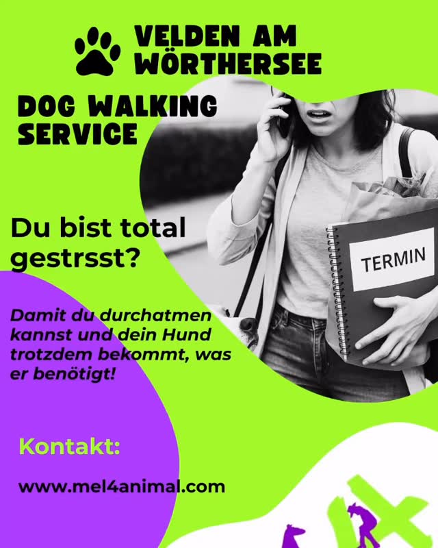 Keine Zeit zum Gassi gehen? Bei mel4animal.com bist du genau richtig ❤️ Velden am Wörthersee und Umgebung #mel4animal #dogwalk #hundebetreuung #happydog