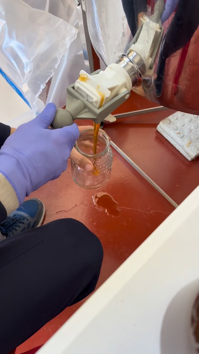 🍯 Envasando la miel de la última cosecha 🍯
Envasando la miel de la última cosecha, recién salida de nuestras colmenas.
100% natural, sin mezclas y con todo su aroma. 🐝
Escríbenos para encargarla al 📞 +34 635 87 64 39
#miel #mielnatural #villamanta #apicultor #navalcarnero , Sevilla la Nueva,el Alamo, Parque Coimbra, El Viso, Móstoles, Aldea del Fresno