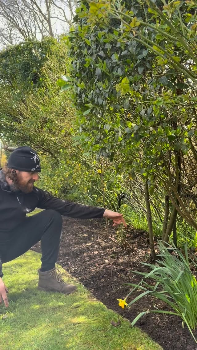 Hopefully the vampires don’t find out I’ve just cleared this bed off all the wild garlic 🧄 #gardening #timelapse #satisying