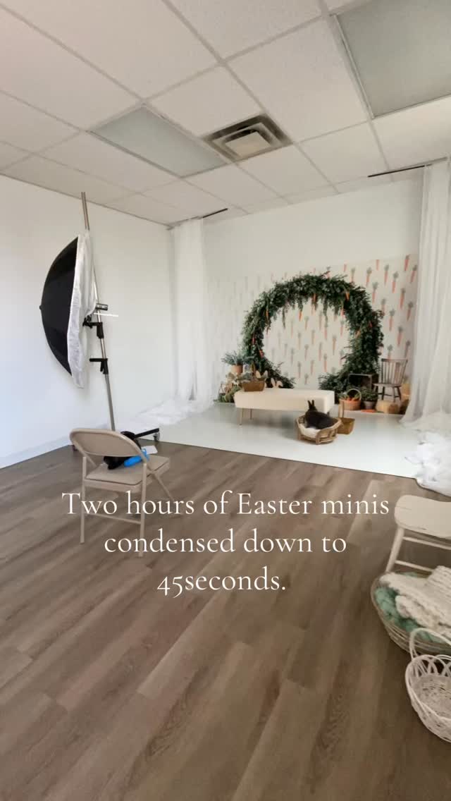 So thankful for the clients who came out today and even more thankful for my clients who brought the bunnies! Millie and Milo were the best little models and so were all the kids who came 😍