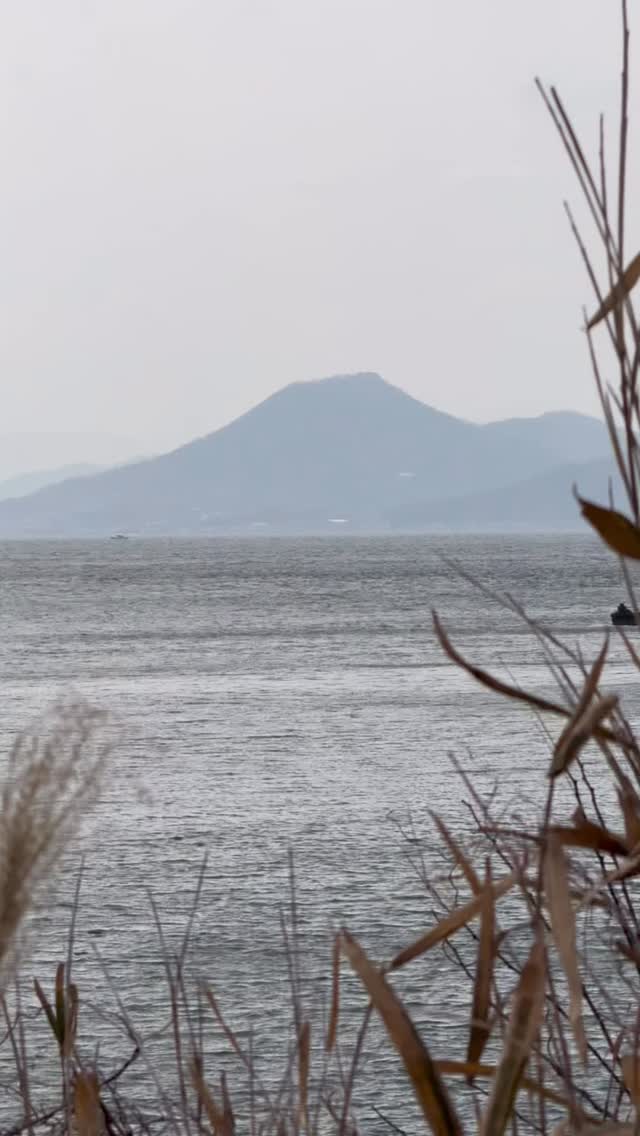 Some inspiring days in Japan. The Art island.🖤🩶 #naoshima #tadoaando #japan #art