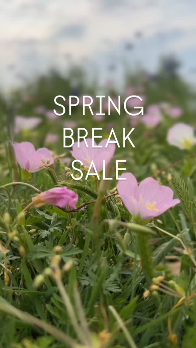 Wildflower minis on sale this week only!
$50 off your mini session in the most vibrant season Texas has to offer.
AND
More dates added!! Gotta make the most out of the spring flowers while they are here, so go book yours now.
Link in bio! Email / dm if you are have any questions!
#texasbluebonnets #dallasphotographers #richardsonphotographer #planophotographer #garlandphotographer