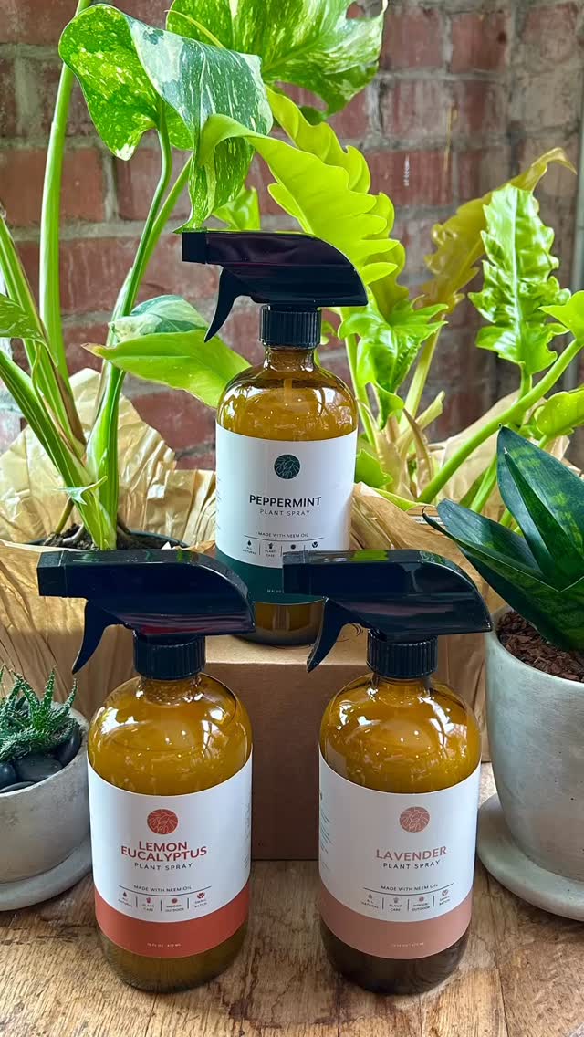 Your plants are an investment, protect them with these safe, all natural and small batch neem oil sprays! Scented Peppermint, Lavender and Lemon Eucalyptus support vibrant, healthy foliage and helps keeps leaves clean, pests away and plants thriving as an addition to any plant care routine. Safe for indoor or outdoor plants.
www.leffloral.com
243 N 5th St
Columbus, OH 43215
614-254-6280
