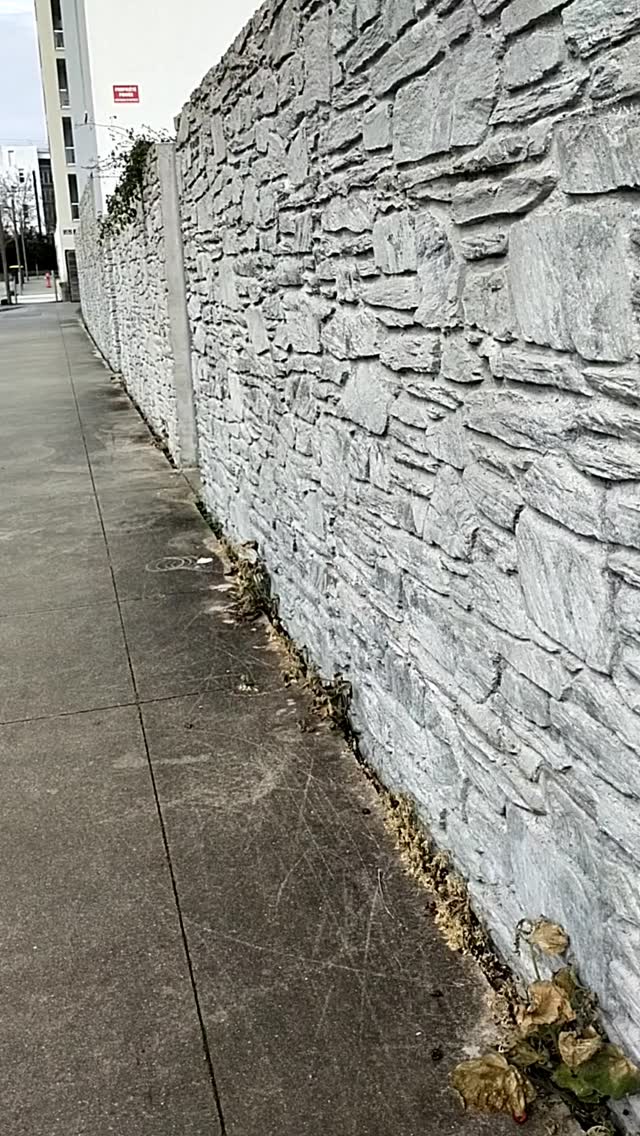 Petit coup de mou du moment: Il semblerait que certaines personnes préfèrent le béton aux fleurs... Je me demande à quoi ressemblent leurs coeurs ? 🤔