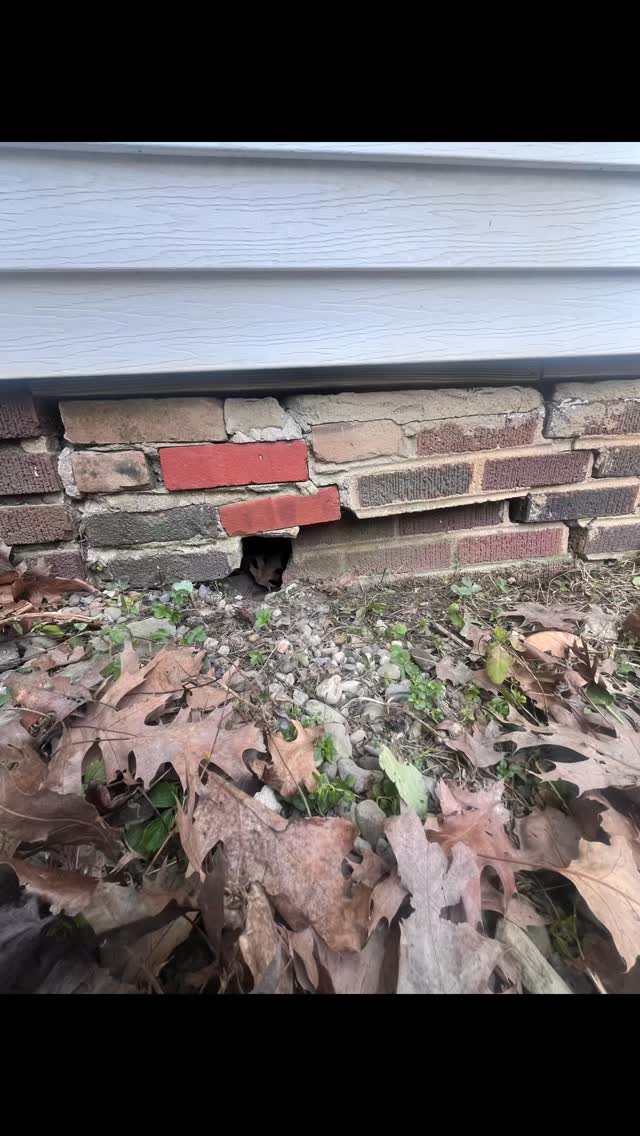 Foundation repair
Tire trail filled
#handyman #ohio #smallfixbigimpact #propertymanagement