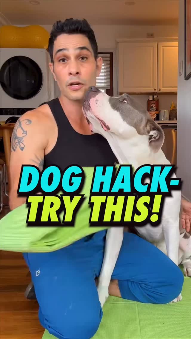 For training in LA or NY- hit the DM’s or link in bio👆
#dogtrainingtips #dogs #dogmom #dogdad #dogtrainer
