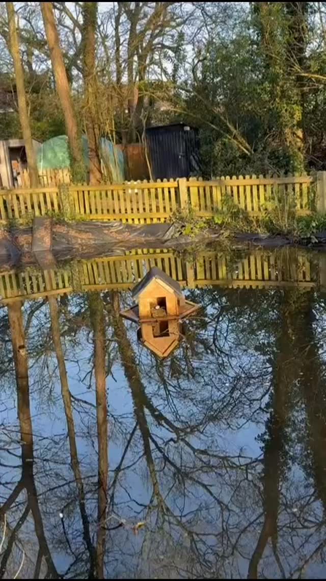 EGG WATCH! 🥚🪺
We have spotted 3 beautiful eggs in the nest on our pond at Nature Bugs and we couldn’t be more excited!!