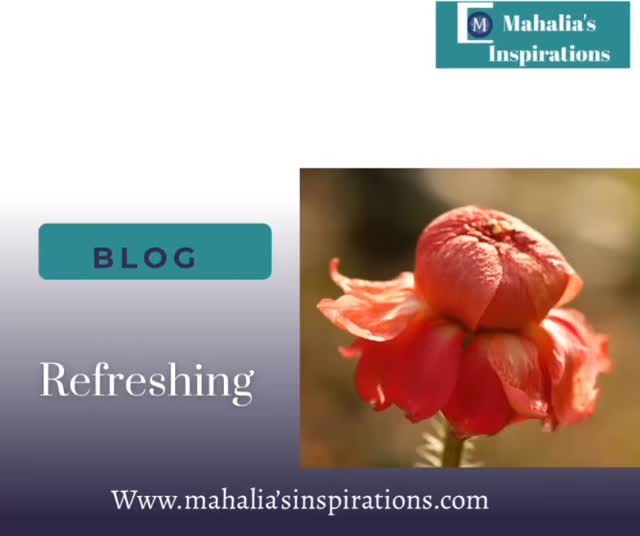 ✨Life be lifing… but Jesus still refreshes. 💧🌸.
The refreshing blog is available now! At www.mahaliainspirations.com or click the link in my bio.
-
-
#inspirational #christianblogs #refreshing #faith #morningencouragement