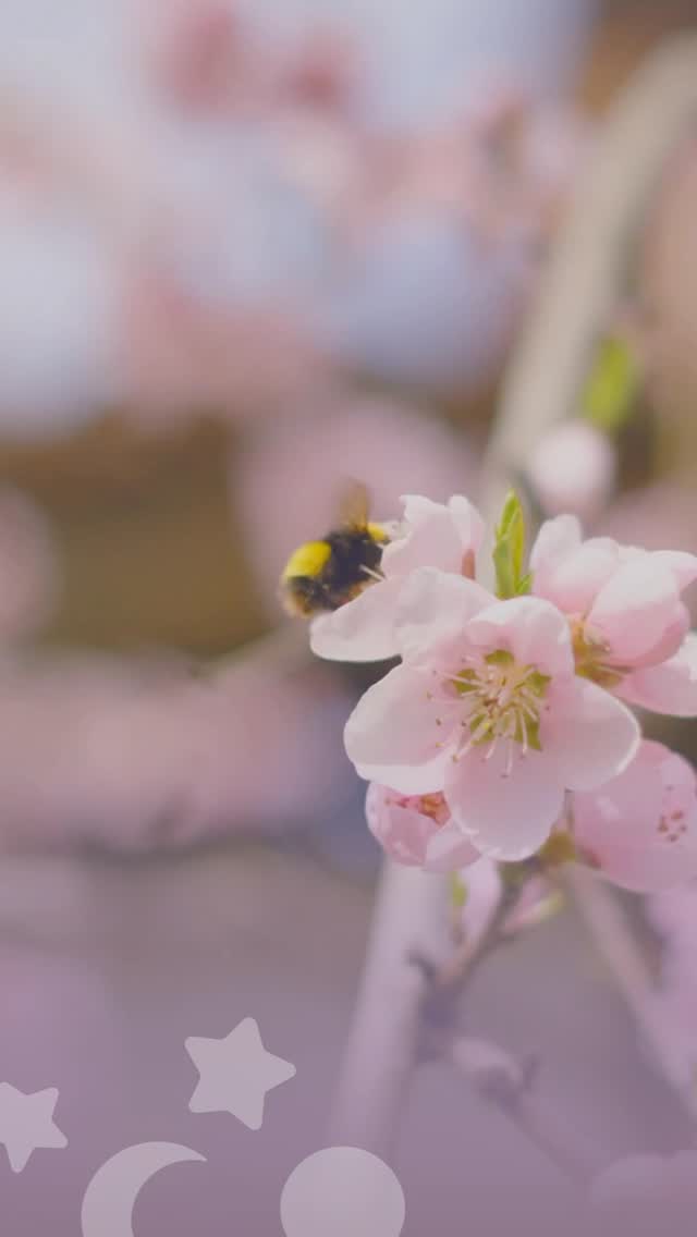 Everything else disappears ✨
Time, space, and noise fade away as your focus turns inward and you flow with your body and your baby
This is the rhythm of birth, powerful, intense, and deeply connected
If you want to feel more prepared and confident, join the Free Masterclass: Baby & Birth – Your Confident Start (Spring 2026) ✨
👉 Details and registration in the link in bio 🤍