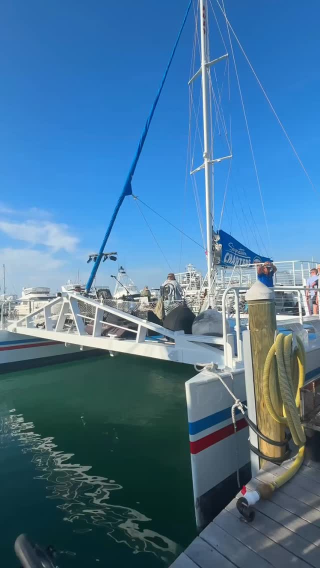 Leo’s campers + a Key West sunset = perfection 🌅⛵️
Over 40 of us hopped on the Commotion on the Ocean with @furykeywest (thanks @daniellepozzi for getting us all booked!!)
#keywest #keywestflorida #floridakeys #sunsetsail #leoskeywestcampground
