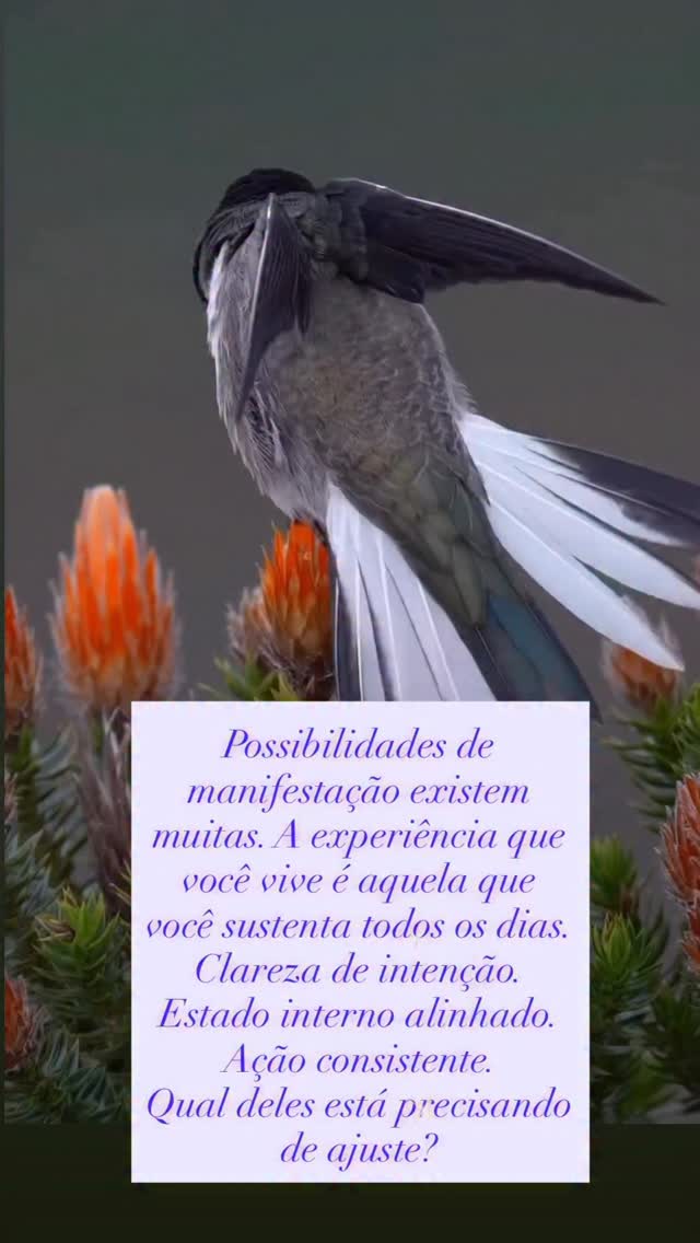 Manifestar não é mágica. É a forma como você direciona sua atenção, seu estado interno e suas ações.
Na prática, isso pode começar com três atitudes simples:
1. Direcione sua atenção para o que você quer viver. Aquilo que recebe sua atenção tende a guiar suas escolhas, atitudes e a forma como você percebe o mundo.
2. Cultive estados internos coerentes com o que deseja. Pensamentos, emoções e ações alinhados aumentam a chance de você perceber e aproveitar as oportunidades que surgem.
3. Aja no mundo real. A intenção abre direção, mas são as decisões e ações concretas que transformam possibilidades em experiências.
O universo é cheio de possibilidades. Na vida prática, manifestar significa clareza de intenção, estado interno alinhado e ação consistente.
Cultive clareza sobre o que quer viver, coloque sua atenção nisso com constância e alinhe suas escolhas diárias com essa direção.
Possibilidades existem muitas. A experiência que você vive é aquela que você sustenta todos os dias.
Humana aprendendo a Ser
Eu Sou aqui
Eu Sou aí
Silvana da Cunha
Cientista Intuitiva • Alquimista • Mentora • Palestrante • Consteladora Sistêmica Familiar • Terapeuta Holística • Fundadora da TQC Cura Quântica®️ e do Despertar Quântico da Consciência
www.florescimentocriativo.com
@silvanadacunha333