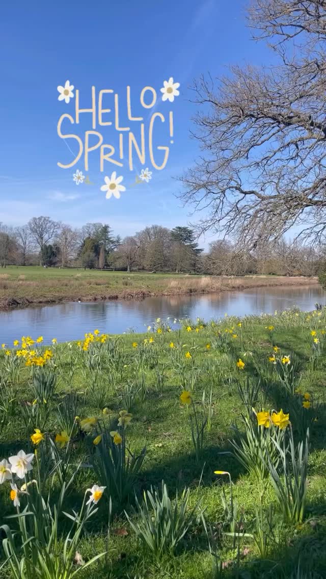 The epitome of spring 🌼 #springuk
