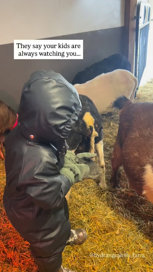 Parenting is humbling✨
I didn’t realize I was so dramatic when I was checking udders and ligaments.
Asked him what he was doing and he simply said: “Checkin’ butts like you!”
😅🫠🫡