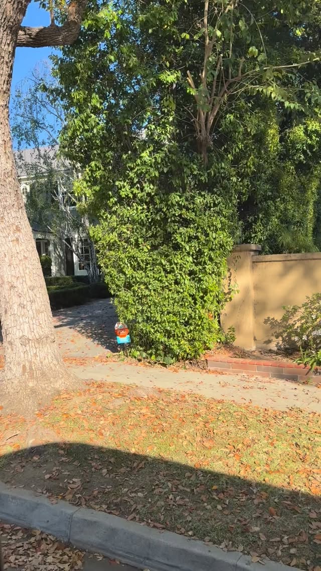 What we see on our deliveries.
