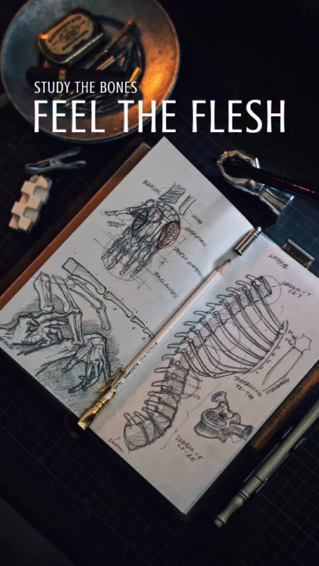 What does drawing skeletons have to do with love? More than you think.
#trctravelersnotebook #drawing #skeleton #love