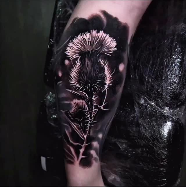 Teles Tattoo Halle
500+ ⭐⭐⭐⭐⭐ Bewertungen auf Google
Tattoo-Termine verfügbar.
📲 WhatsApp / Instagram
🌐 https://www.telestattoohalle.de/terminanfrage
#tattoo #tattoos #tattooartist #ink #inked