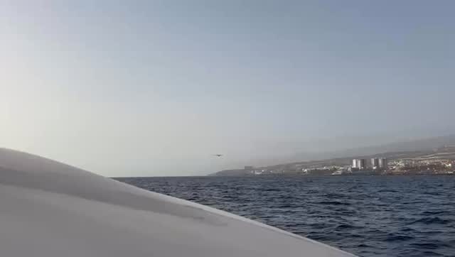 ¿Has escuchado un hidroavión hoy? Muuuy cerca 🫣🫣😅😅https://diariodeavisos.elespanol.com/2026/03/por-que-hidroaviones-sobrevuelan-canarias-ejercito-aire-hoy/ #bluejacksail #ejercitodelaireespañol