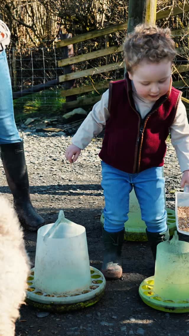 I didn’t create Little Farmer to be a “farm visit”…
I created it because children need more than screens and classrooms.
They need nature.
Responsibility.
Real experiences.
Watching their confidence grow…
just like the seeds they plant.
That’s what this is about.
#FarmLifeForKids
#LittleFarmer
#AnimalLearning
#NatureBasedLearning
#farmtofork