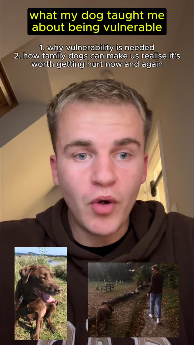 What my dog taught me about being vulnerable