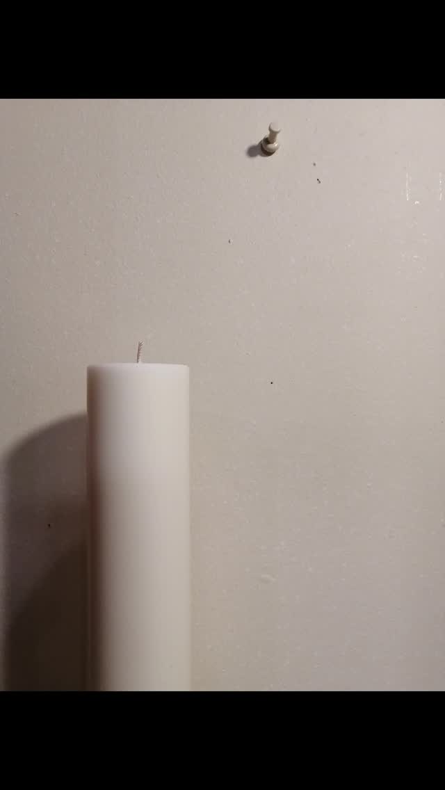 【 炎はわたし キャンドルはわたし 】
なんのためにこの世に誕生したのかな
わたしってこんなもんだったのかな
変わりたいと願いつ変わろうとしてないのはなぜ?
また誰かに委ねてる?
一歩動かすのは
誰かを待つのでなく
わたしが動くんだよ
お飾りのために生まれてきたんじゃないから
暗闇の底にいたわたしを
動かしてくれたのは
炎が灯る空間に
勇気出して踏み込んだあの時のわたしで
じっと静かに炎と過ごしたわたしがいたから
暗闇に射す一筋の光を見つけた
あの一歩がなかったら今のわたしは存在しないし
蝋燭を創作し続けてることもない
灯すたびに
一本一本同じように溶けず
毎回どんな新しいわたしをみせてくれるのか
いつまでも魅了され続けて
どんなわたしも愛してるよ
【 ich = I = 私 = 愛 】
うみだし続ける ich に 炎を灯し続けるように
一度きりの人生 今を生きるわたしに
エナジー点火していくのも 今
振り返れば全てが起点
#mystory