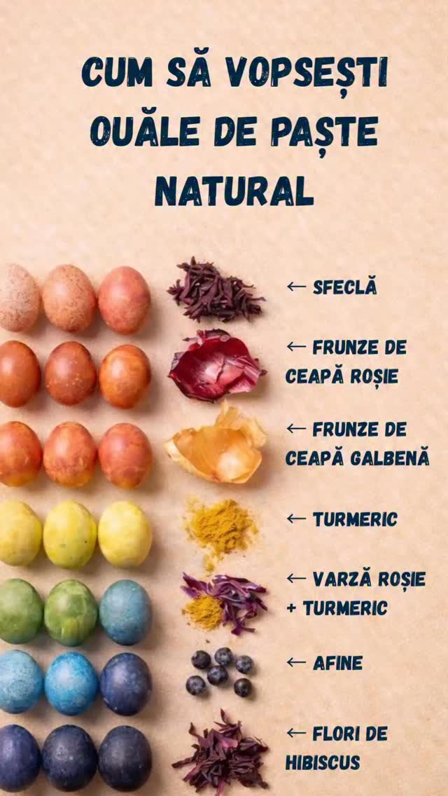Nu trebuie culori speciale ca să vopsim ouăle de Paște 🥚🌿
Uneori, cele mai frumoase ies chiar din lucruri simple… din bucătărie.
Sfecla, foile de ceapă, turmericul sau varza roșie pot transforma ouăle în mici surprize colorate 🤍
Iar partea cea mai frumoasă? Copiii sunt fascinați de proces — de la amestecat, la așteptat și până la momentul „wow” când văd rezultatul.
E o activitate liniștită, dar plină de curiozitate, perfectă pentru zilele petrecute împreună înainte de Paște 🐣
Dacă încercați și voi, spune-mi ce culoare v-a ieșit preferata 💛
#gradinitaonline #activitaticopii #activitatipentrucopii #kidsactivities #activitiesforkids