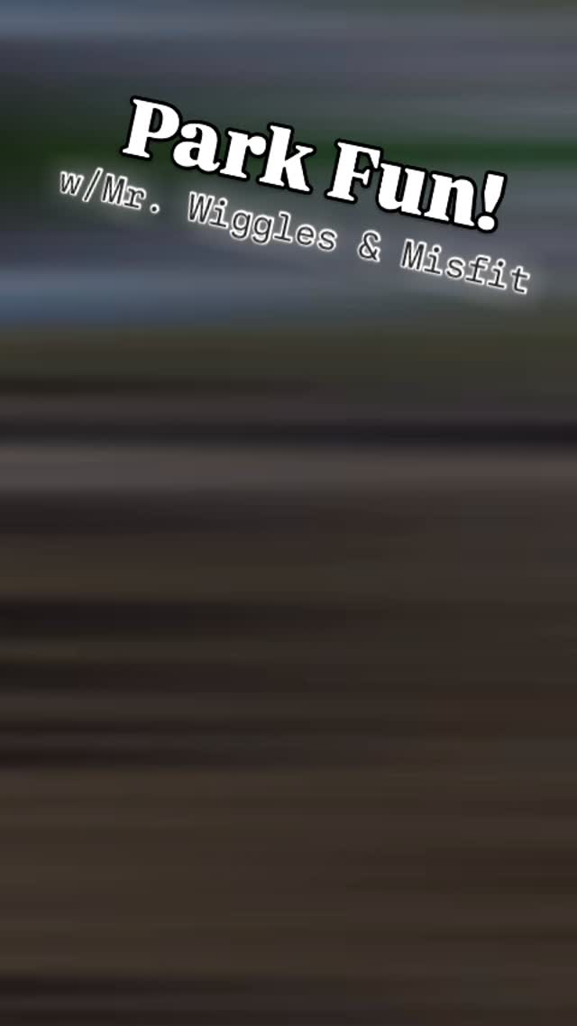 I always have a great time training at the park with my son @cj_stuntss, and today Mr. Wiggles & Misfit joined in on the agility fun!
#abetterpetdogtraining #heartsalivevillage #dogsoflasvegas #dogagilitytraining #lasvegasdogtrainer